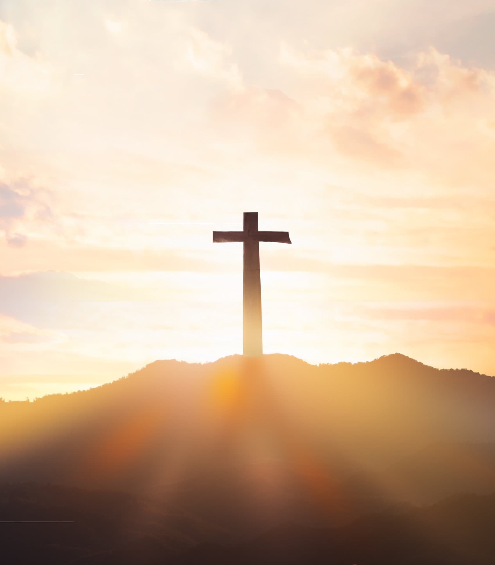 Waltraud Halbe